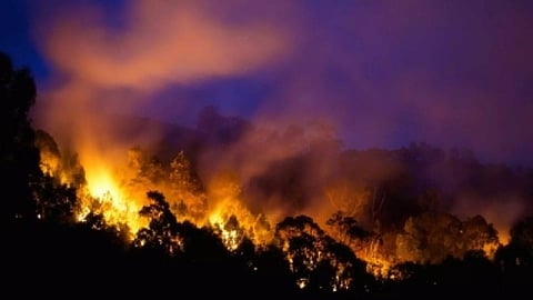 Representative Image (Photo/IANS)