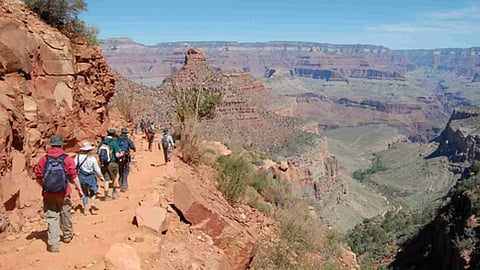 Representative Image (Photo/IANS)