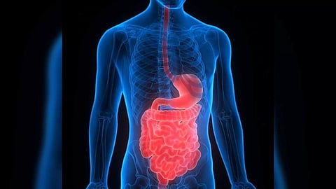 Representative Image (Photo/IANS)