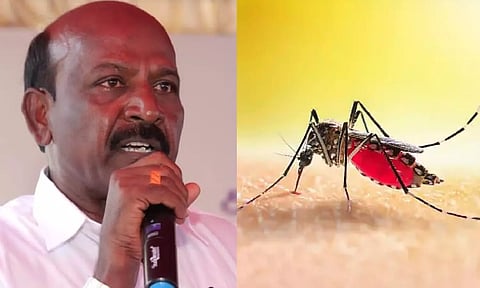 (L-R) Tamil Nadu Health Minister Ma Subramanian, Representational image of mosquito