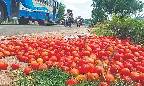 Tomatoes dumped along the road in Karur on Wednesday