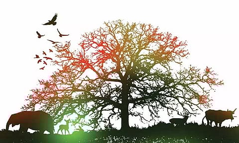 Representative image