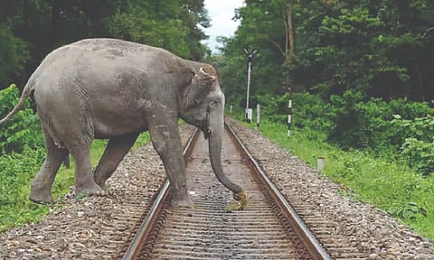 Representative image