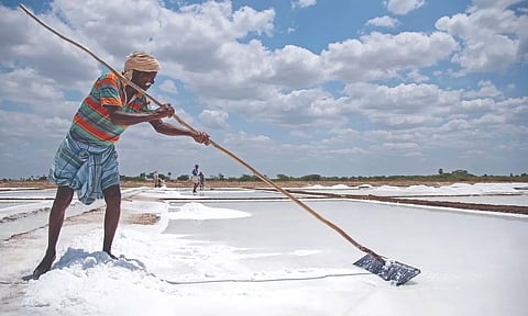 A worker at Thoothukudi salt pan (file photo)