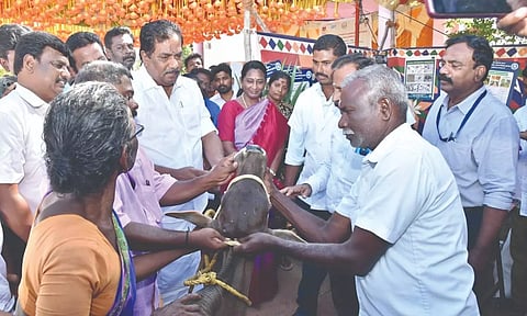 Minister P Moorthy inaugurates veterinary health camp at Thumbaipatti village in Melur, Madurai