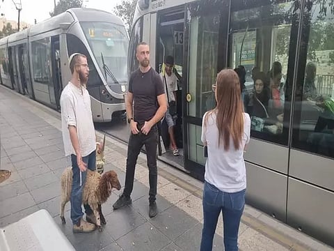 Israeli man seeking to sacrifice goat 