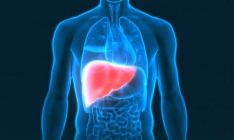 Representative Image (Image: IANS)