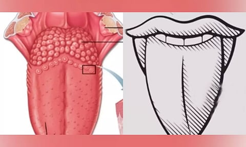 Representative Image (Image: IANS)