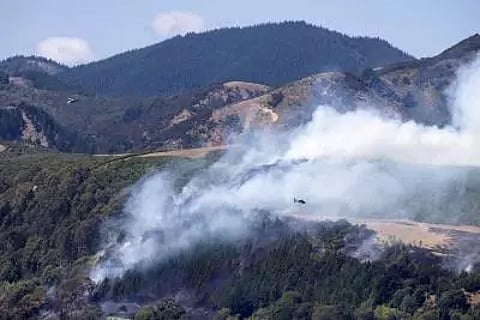 New Zealand experts warn wildfire risk due to El Nino