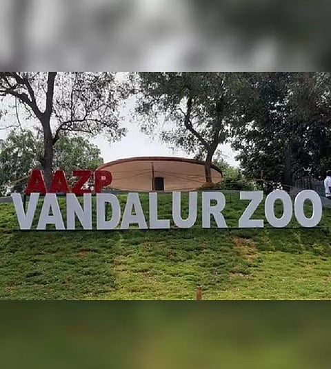 Vandalur Zoo