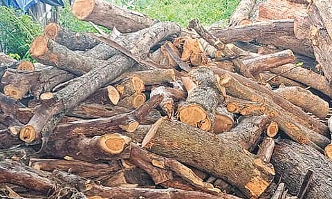 Locals besiege school protesting felling of trees
