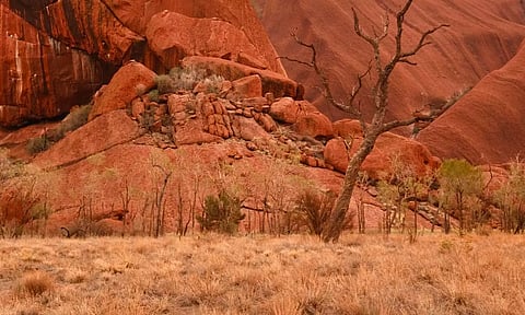 Representative image