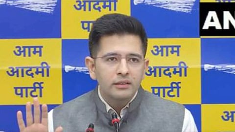 AAP MP Raghav Chadha (Photo/ANI)