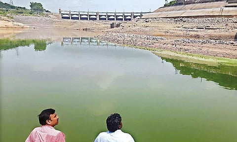 Representative image