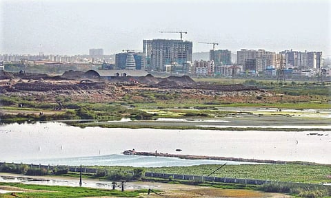 Representative Image