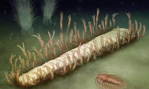 Representative Image