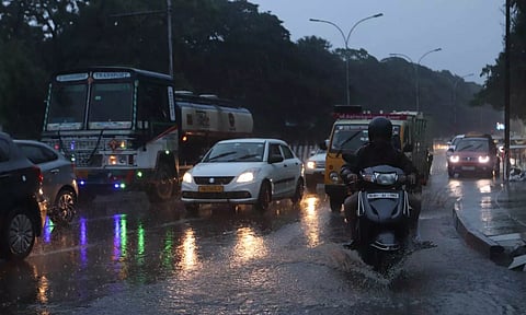 Representative image (Hemanathan M)