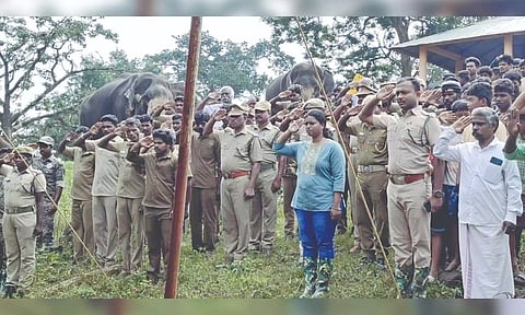 Forest department officials pay respects to ‘Moorthy’ elephant in MTR