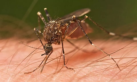 Representative image (File)