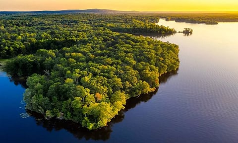 Representative image