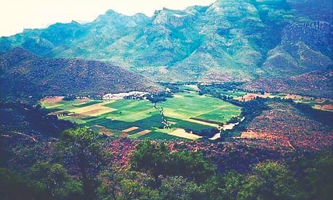 Farmland in Thengumarahada village (File)