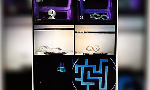 Soft Robots (Photo: IANS)