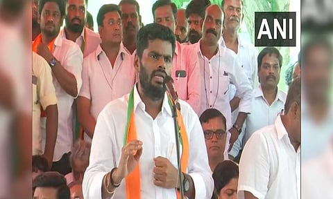 Tamil Nadu BJP President K Annamalai (ANI) 