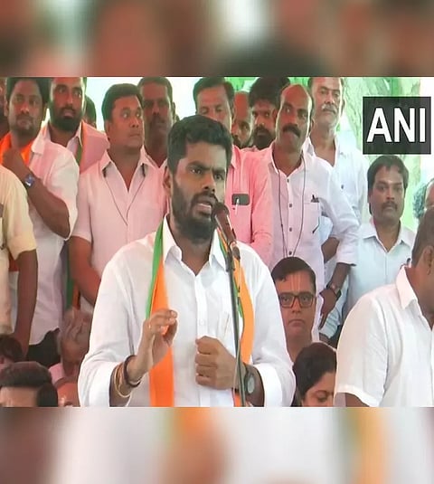 Tamil Nadu BJP President K Annamalai (ANI) 