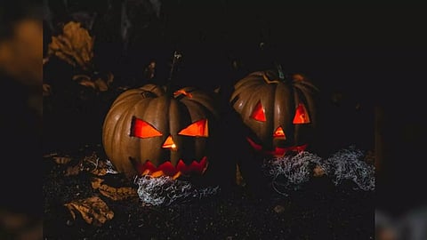 Representative Image (Photo/ANI)