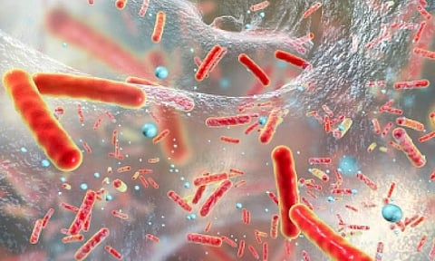 Representative Image (IANS)