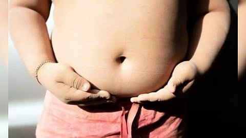 Representative Image (Photo/IANS)