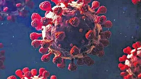 Representative Image