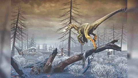 Representative Image