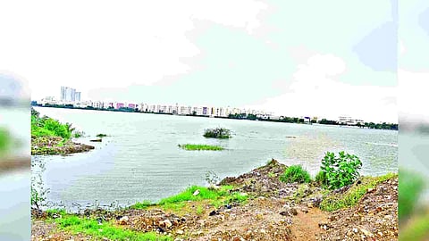 Pallikaranai Marshland
