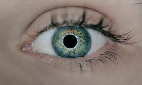 Representative Image (IANS)