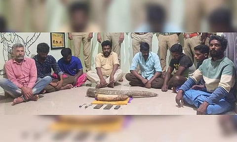 Eight accused held with tusk