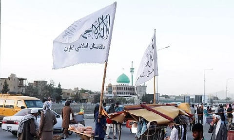 Representative Image (ANI)