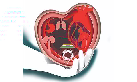 Illustration by Saai