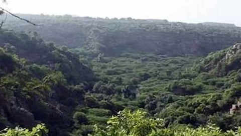 Representative Image