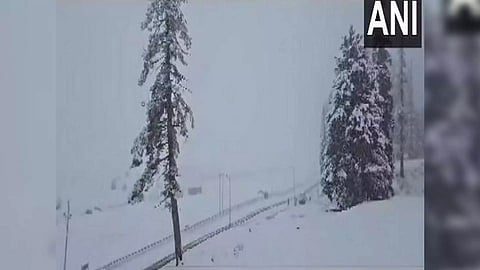 Visual from Gulmarg (Photo/ANI)