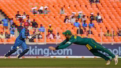 CWC 2023: Omarzai's 97 lifts Afghanistan to 244 against SA