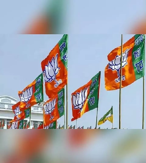 Representative Image (ANI)