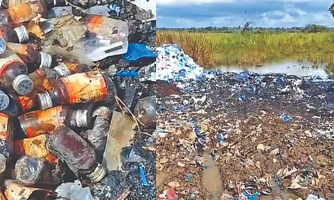 Medical and chemical wastes dumped in Thenneri lake, Sriperumbudur