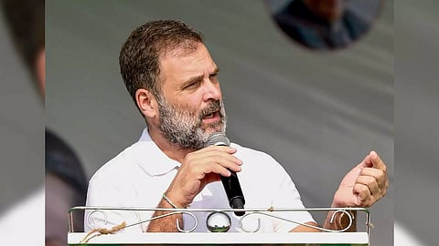 AICC former president Rahul Gandhi (Photo/PTI) 