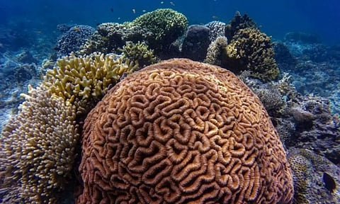 Representative Image (Image: ANI)