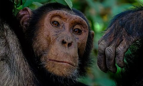 Representative Image (Image: ANI)