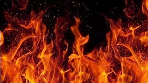 Representative Image (Photo/IANS)