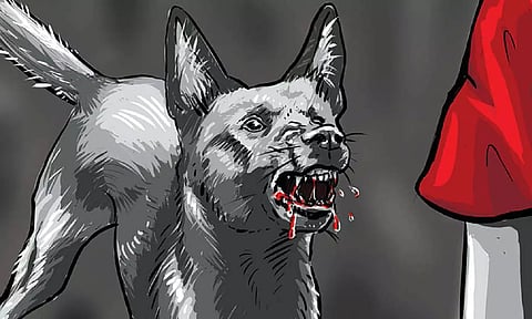 Illustration: Ritwikkh Roy