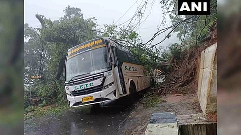 Tree falls on bus due to landslide in Burliyar (Photo/ANI)