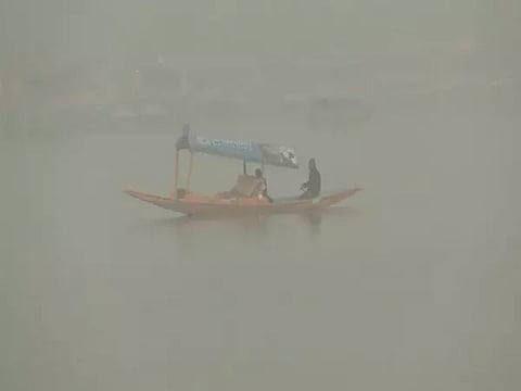 Representative image